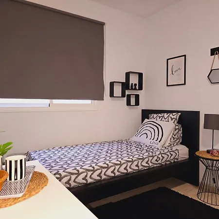 Like At Tenerife X 5 산미겔데아보나